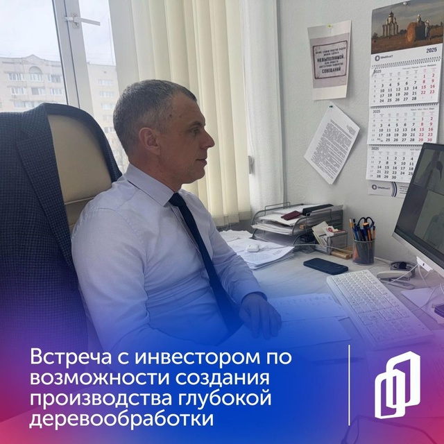 Возможность создания производства глубокой деревообработки